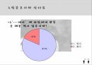 데이문화와 청소년문화의 보고서 11페이지