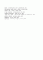 정치적 위험의 원천과 영향 4페이지