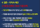 독신가구노인독신가구란인구의 고령화핵가족화 경향노인 고독감노인장기요양보험제도치매관리법 32페이지