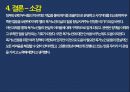 독신가구노인독신가구란인구의 고령화핵가족화 경향노인 고독감노인장기요양보험제도치매관리법 35페이지