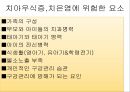 소아 구강 건강관리치아우식증과 치은염구강건강미취학아동의 구강건강 3페이지