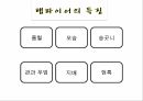 뱀파이어의 역사뱀파이어란뱀파이어의 역사뱀파이어 특징뱀파이어 종류 9페이지