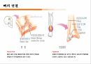 컨디셔닝 스포츠마사지 테이핑 13페이지