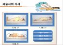 컨디셔닝 스포츠마사지 테이핑 21페이지
