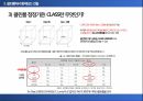 반도체 클린룸이란 무엇인가 클린룸에 대한 모든 것 13페이지