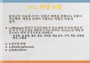 노인의 골다공증골다공증 현황과 문제점골다공증 정의골다공증 원인 요인 및 분류골다공증 증상과 합병증골다공증 진단골다공증 예방과 관리골다공증을 위한 대책 58페이지