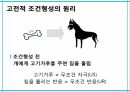 학습이론행동주의 학습이론인지적 학습이론정보처리이론형태주의사회인지이론작업기억이론병렬분산처리이론 8페이지