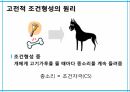 학습이론행동주의 학습이론인지적 학습이론정보처리이론형태주의사회인지이론작업기억이론병렬분산처리이론 9페이지