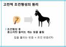 학습이론행동주의 학습이론인지적 학습이론정보처리이론형태주의사회인지이론작업기억이론병렬분산처리이론 10페이지