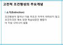학습이론행동주의 학습이론인지적 학습이론정보처리이론형태주의사회인지이론작업기억이론병렬분산처리이론 12페이지
