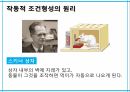 학습이론행동주의 학습이론인지적 학습이론정보처리이론형태주의사회인지이론작업기억이론병렬분산처리이론 15페이지