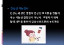 갑상선암갑상선의 구조암의 정의갑상선 암의 원인갑상선의 기능 11페이지