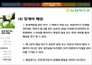 징계의 필요성과 목적징계처분기준해고의 종류징계의 정의징계관리 16페이지