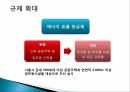 그린홈 정책규제의 확대와 강화에너지효율등급제에너지 현황에너지 절감 계획 4페이지