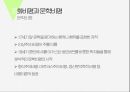 문화비평이란문화비평의 배경문화비평의 관점문화비평과 문학비평마르크스 주의사회학이론정신분석학 14페이지