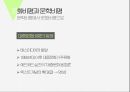 문화비평이란문화비평의 배경문화비평의 관점문화비평과 문학비평마르크스 주의사회학이론정신분석학 17페이지