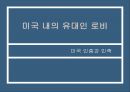 미국 인종과 민족로비의 정의 역사로비스트유대인 로비유대인 로비로비의 순기능과 역기능 1페이지