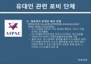 미국 인종과 민족로비의 정의 역사로비스트유대인 로비유대인 로비로비의 순기능과 역기능 11페이지