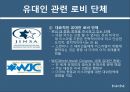 미국 인종과 민족로비의 정의 역사로비스트유대인 로비유대인 로비로비의 순기능과 역기능 13페이지