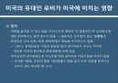 미국 인종과 민족로비의 정의 역사로비스트유대인 로비유대인 로비로비의 순기능과 역기능 18페이지