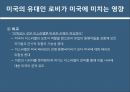미국 인종과 민족로비의 정의 역사로비스트유대인 로비유대인 로비로비의 순기능과 역기능 19페이지
