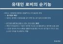 미국 인종과 민족로비의 정의 역사로비스트유대인 로비유대인 로비로비의 순기능과 역기능 25페이지