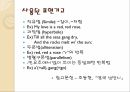 영문학산책 - 로버트 번즈(A Red Red Rose - Robert Burns) 12페이지
