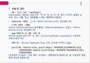 PBL자궁경부암간호 5페이지