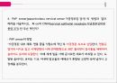 PBL자궁경부암간호 12페이지