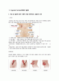 서혜부 탈장 성인간호학 간호과정 케이스 3페이지