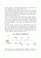 사회보험의 기본원칙 3페이지