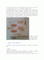 항균성 시험 4페이지