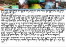 일본 온천,온천이란,유래와 기원,문화와 차이 6페이지