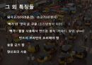 인도의 의식주,인도의 의복,인도의 식생활,인도의 주거생활,인도의 종교,힌두교,인도의 이슬람교 18페이지