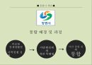 지방자치론,창원 통합시 문제점,통합시란,지방자치단체,통합시 긍정적 효과,창원 통합 5페이지