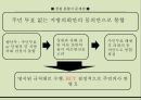 지방자치론,창원 통합시 문제점,통합시란,지방자치단체,통합시 긍정적 효과,창원 통합 14페이지