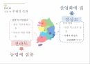 지역주의,지역주의의 역사적 기원,국가주도 산업화 정책,도시로의 교육이주 11페이지