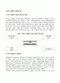 미국의 사회복지 정보시스템 2페이지
