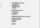 정신과약물(항정신병약물 항우울제 항불안제 수면제) 2페이지