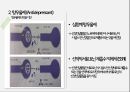 정신과약물(항정신병약물 항우울제 항불안제 수면제) 15페이지