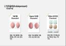 정신과약물(항정신병약물 항우울제 항불안제 수면제) 21페이지