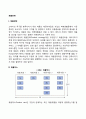 [제품전략] 제품전략 제품믹스 브랜드 포장 신제품개발 제품수명주기 2페이지