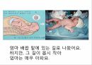 영유아 성교육 PPT 자료 8페이지