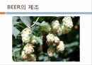 식음료실무 칵테일 맥주 6페이지