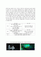 문화콘텐츠 분석 뮤직 비디오 BTS의 뮤직 비디오 봄날 에 대한 문화 콘텐츠 가치 3페이지
