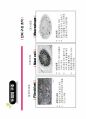 두피 및 모발관리 3강 모발과 탈모 18페이지