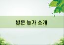 담양 멜론 농가 방문기 - 멜론 하우스 작물 재배 현황 조사 3페이지