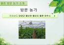 담양 멜론 농가 방문기 - 멜론 하우스 작물 재배 현황 조사 4페이지
