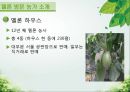 담양 멜론 농가 방문기 - 멜론 하우스 작물 재배 현황 조사 5페이지