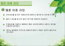담양 멜론 농가 방문기 - 멜론 하우스 작물 재배 현황 조사 10페이지
